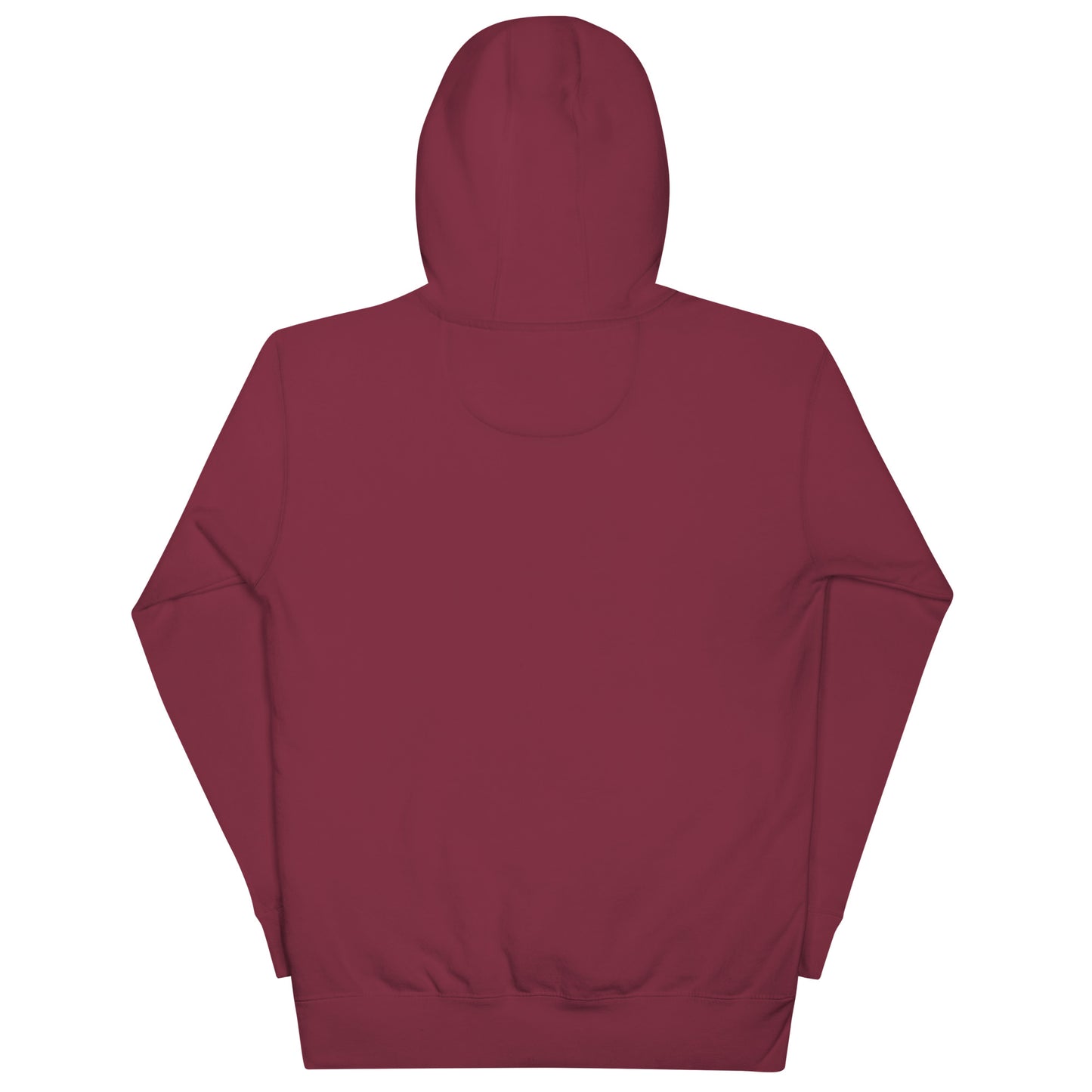 Planeta Logo Hoodie
